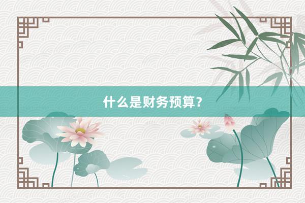 什么是财务预算？